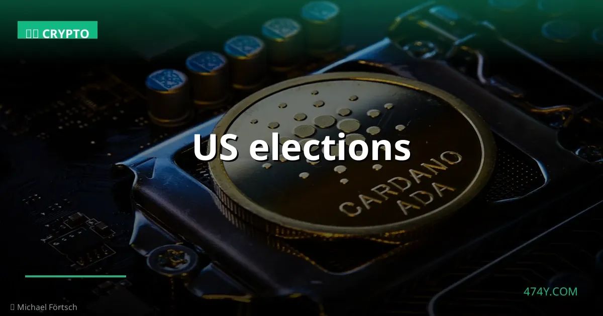 US elections