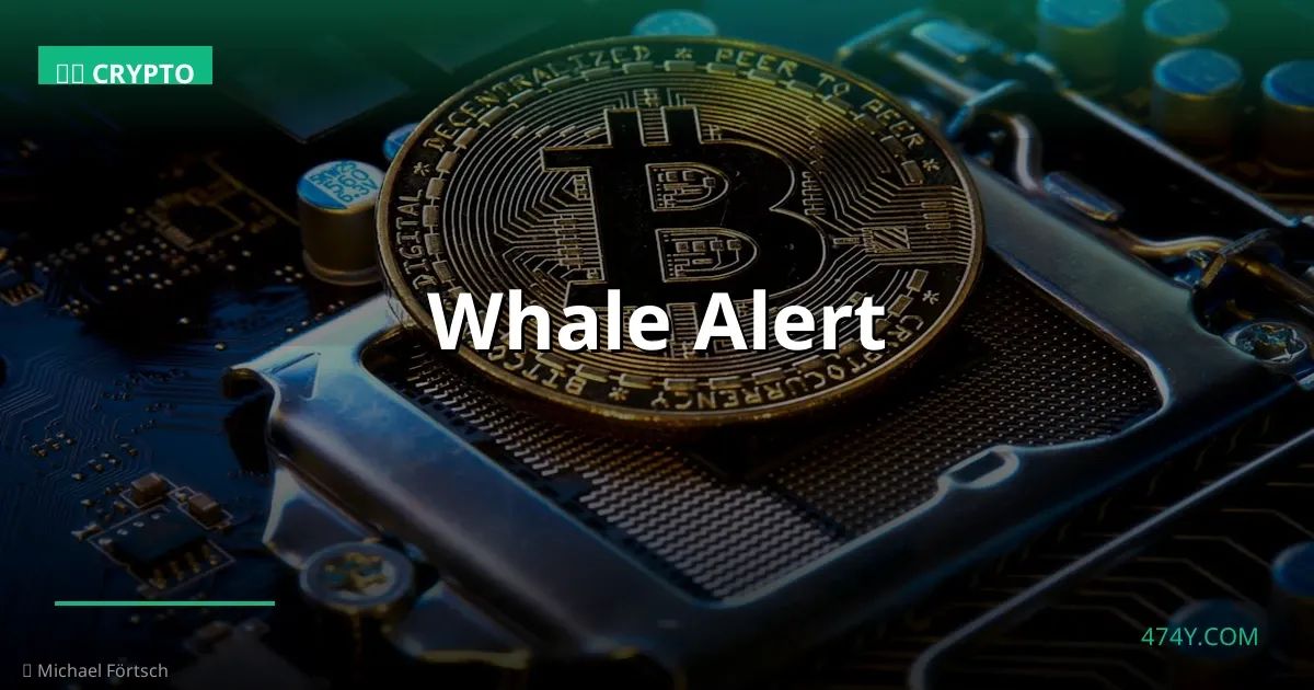 Whale Alert