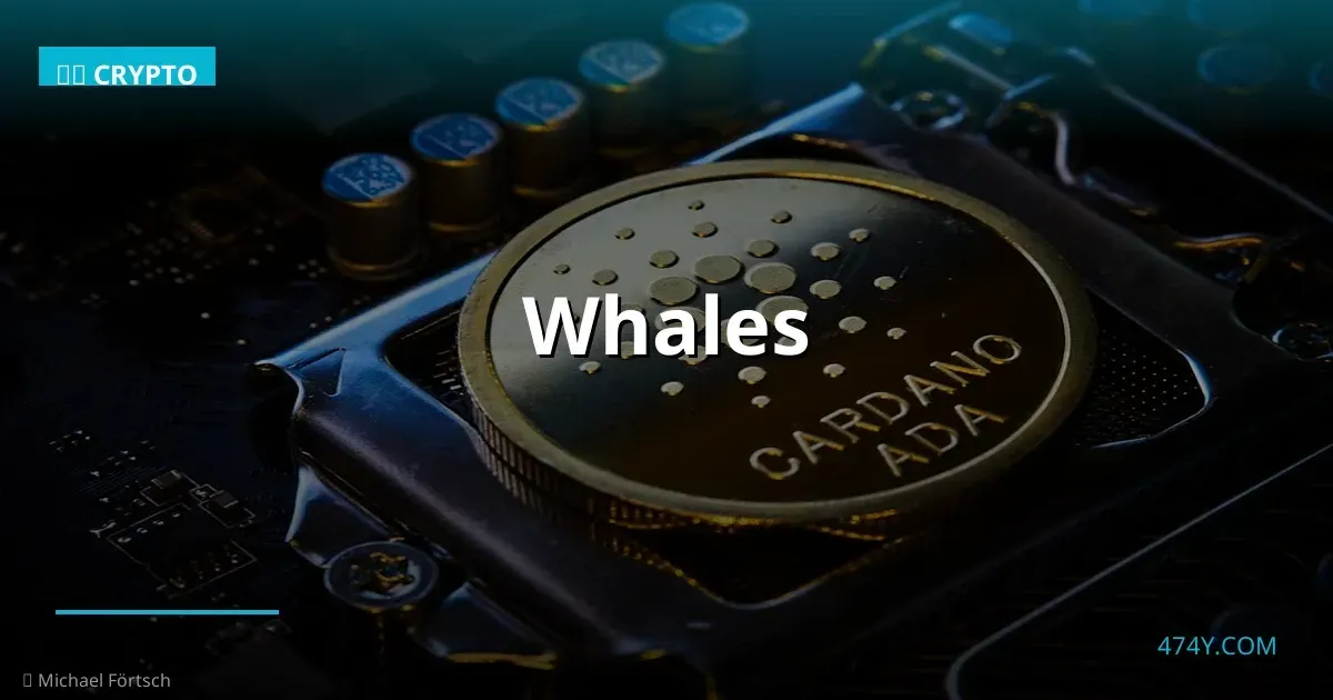 whales