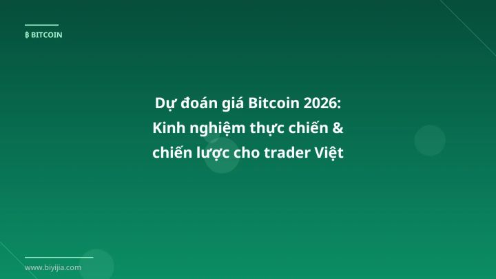Infographic dự đoán giá bitcoin 2026: kinh nghiệm thực chiến & chiến lược cho trader việt - Thông tin quan trọng cho trader V