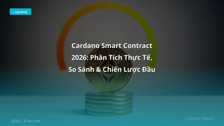 Hình ảnh minh họa: Cardano smart contract - Cập nhật mới nhất 2026