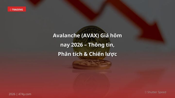 Avalanche giá hôm nay - Phân tích và hướng dẫn từ chuyên gia crypto Việt Nam