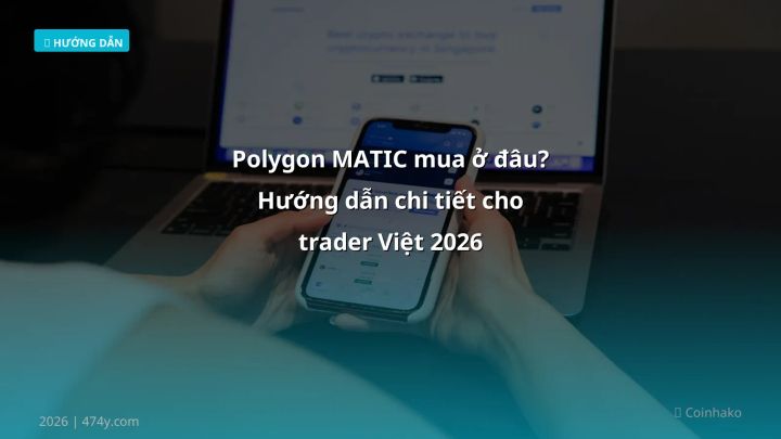 Infographic polygon matic mua ở đâu? hướng dẫn chi tiết cho trader việt 2026 - Thông tin quan trọng cho trader Việt
