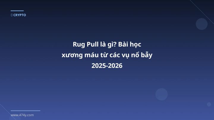 Rug pull là gì - Phân tích và hướng dẫn từ chuyên gia crypto Việt Nam