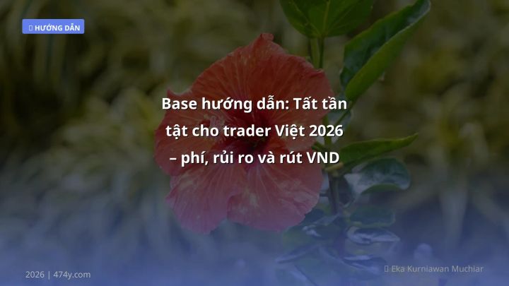 Hình ảnh minh họa: Base hướng dẫn - Cập nhật mới nhất 2026