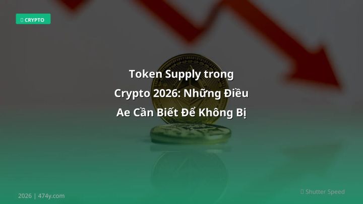 Token supply - Phân tích và hướng dẫn từ chuyên gia crypto Việt Nam