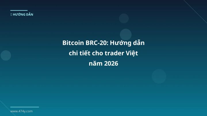 Infographic bitcoin brc-20: hướng dẫn chi tiết cho trader việt năm 2026 - Thông tin quan trọng cho trader Việt