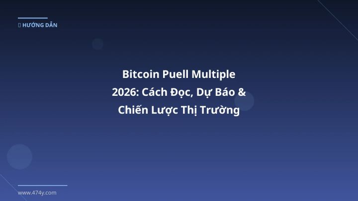 Hình ảnh minh họa: Bitcoin Puell Multiple - Cập nhật mới nhất 2026
