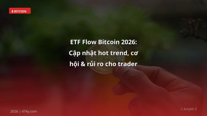 Infographic etf flow bitcoin 2026: cập nhật hot trend, cơ hội & rủi ro cho trader việt - Thông tin quan trọng cho trader Việt