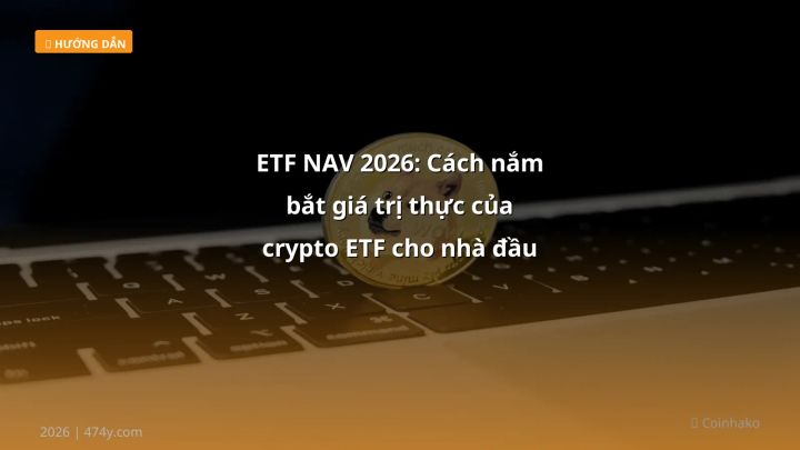 Infographic etf nav 2026: cách nắm bắt giá trị thực của crypto etf cho nhà đầu tư việt - Thông tin quan trọng cho trader Việt