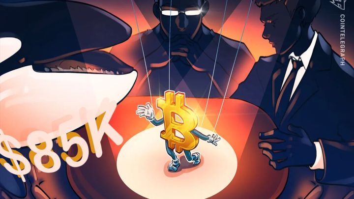 Cá voi Bitcoin mới tăng rủi ro kéo giá BTC xuống 2,1 nghìn tỷ VND - 474y.com