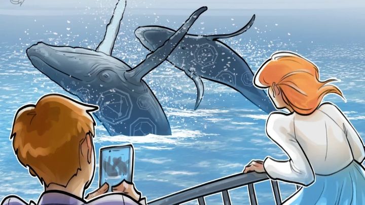 Cá mập chuyển 2,4 tỷ USD vào Binance, nhưng không có người mua – Kẻo giá sụt? | 474y.com