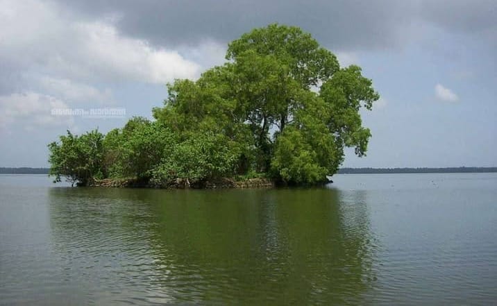 വിനോദസഞ്ചാരമേഖലയിൽ ടി.വി. പുരത്തിന് അനന്ത സാദ്ധ്യതകൾ