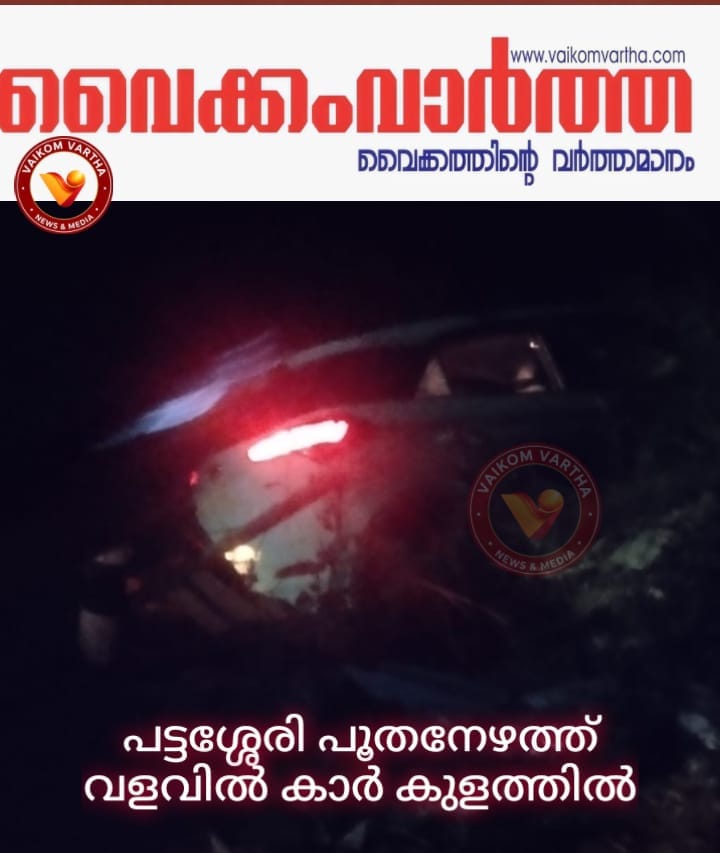 പട്ടശ്ശേരി പൂതനേഴത്ത് വളവിൽ കാർ കുളത്തിൽ വീണു