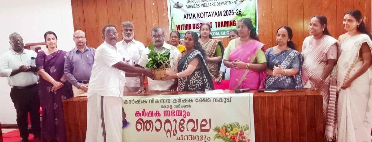 ഞാ​റ്റുവേല ചന്ത