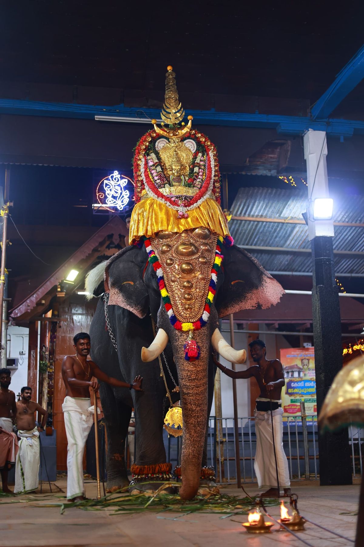ഗജവീരൻ ഈരാറ്റുപേട്ട അയ്യപ്പന്റെ വിയോഗം ക്ഷേത്രനഗരിക്ക്  വേദനയായി