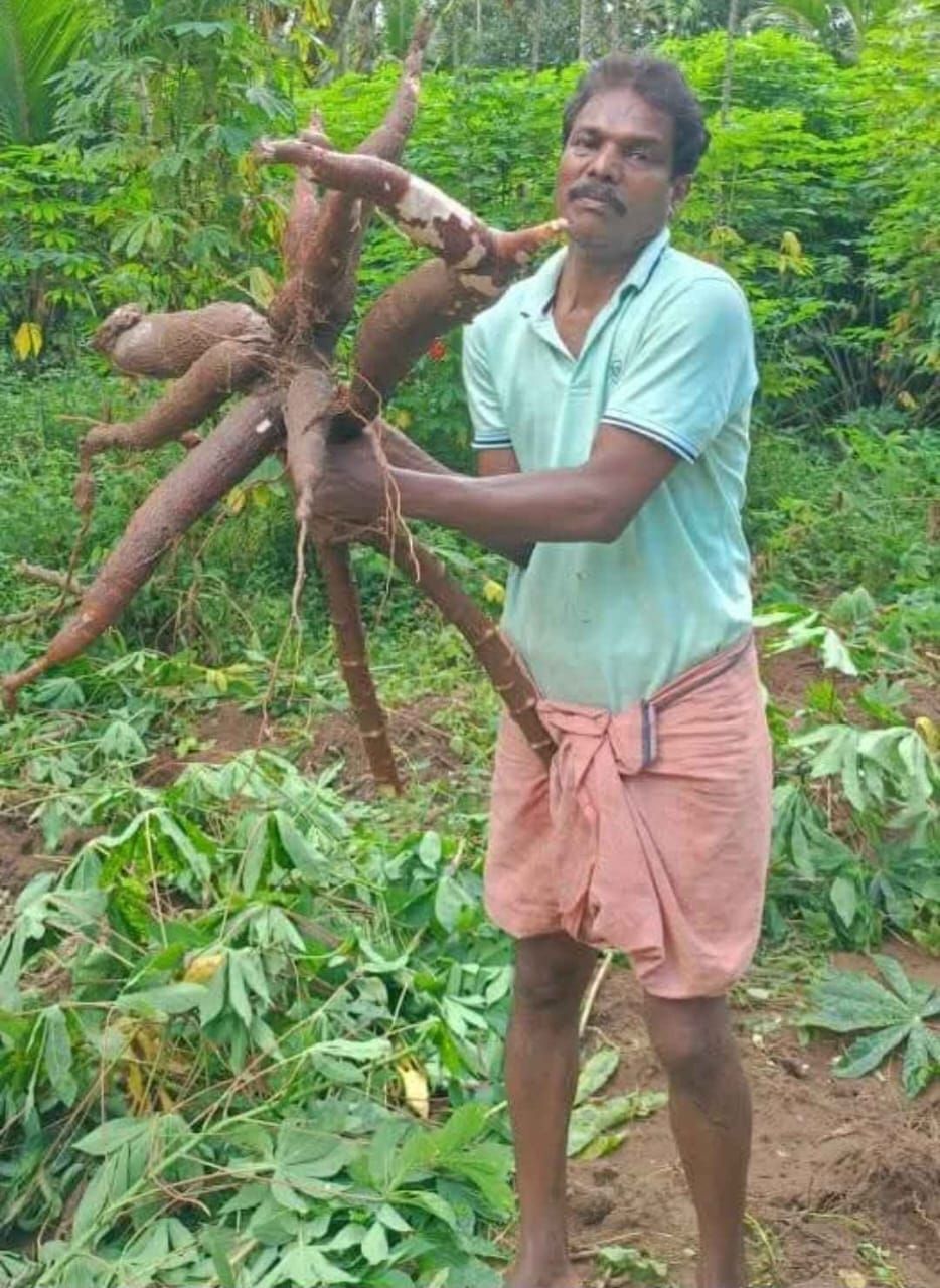 കൃഷിയിൽ നൂറുമേനി വിളയിച്ച് കെ.എസ്. വേണുഗോപാൽ