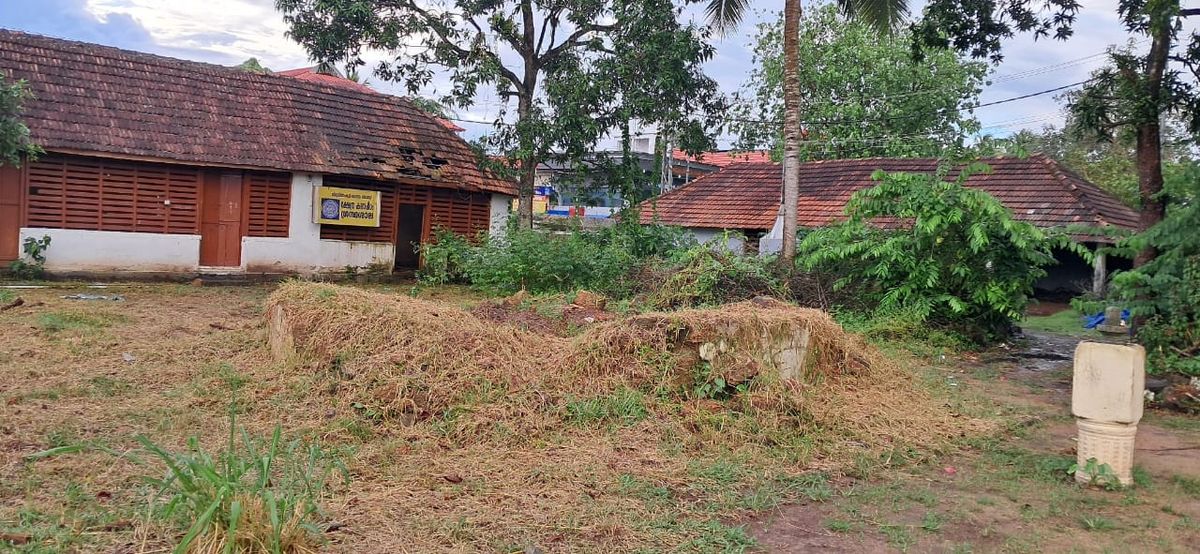 വീണു പോയ ആലിന് പകരം പുതിയ ആൽ വൃക്ഷം വച്ച് തറ കെട്ടി സംരക്ഷിക്കാൻ നടപടിയെടുക്കണം