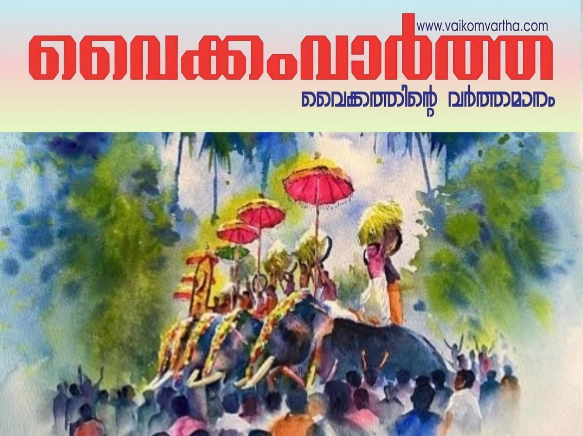 തൃശൂർ പൂരത്തിൻ്റെ ആഘോഷങ്ങൾ കുറക്കാൻ തീരുമാനം