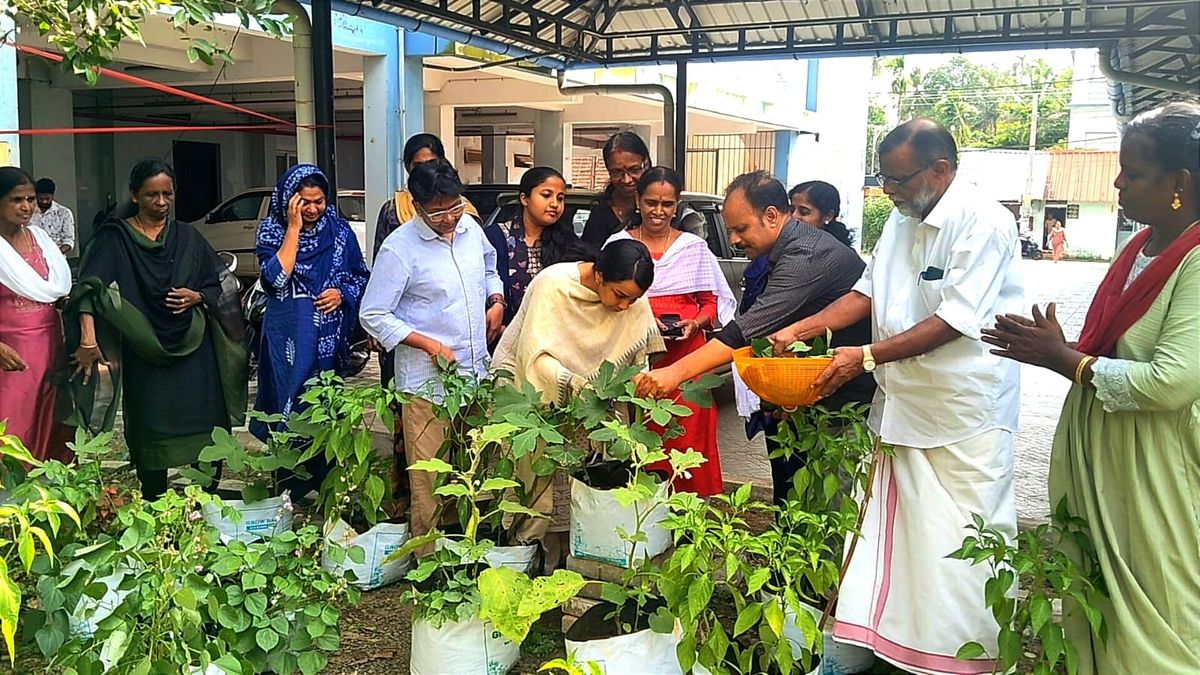 കോടതി വളപ്പിൽ പച്ചക്കറി കൃഷിയുടെ ആദ്യ വിളവെടുപ്പ് നടന്നു
