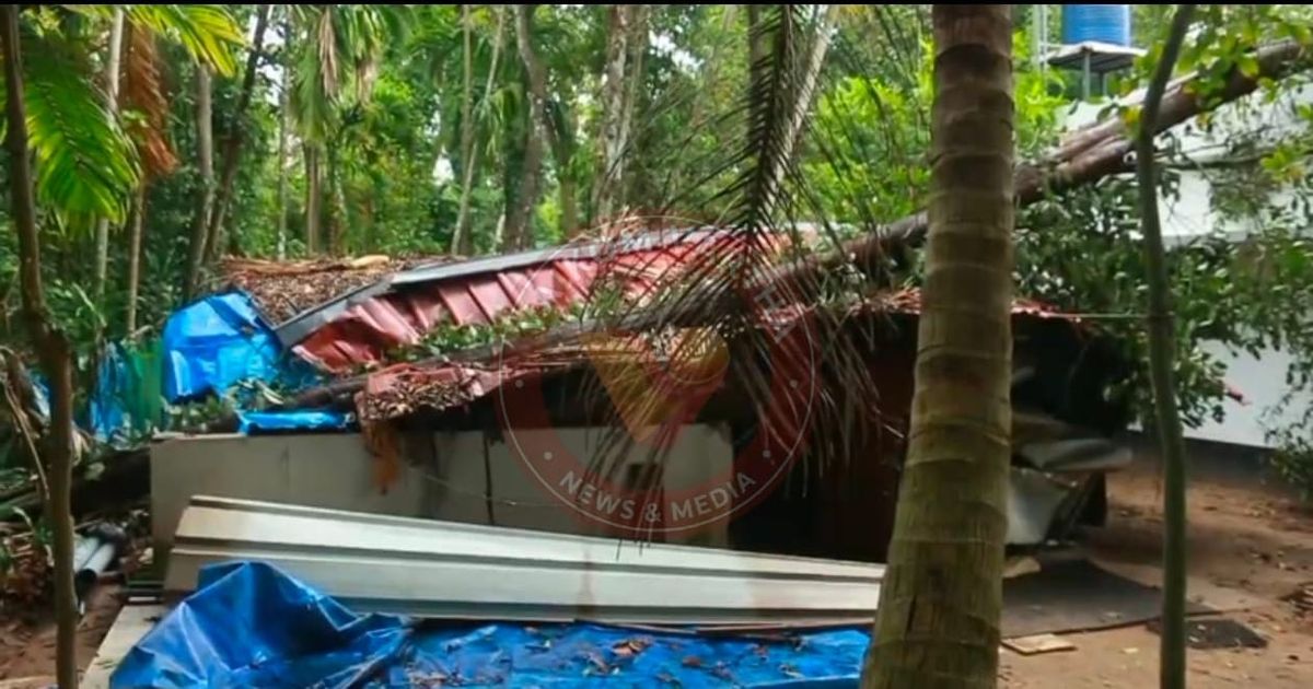 ശക്തമായ കാറ്റിൽ വെച്ചൂരിൽ വ്യാപക നാശനഷ്ടം