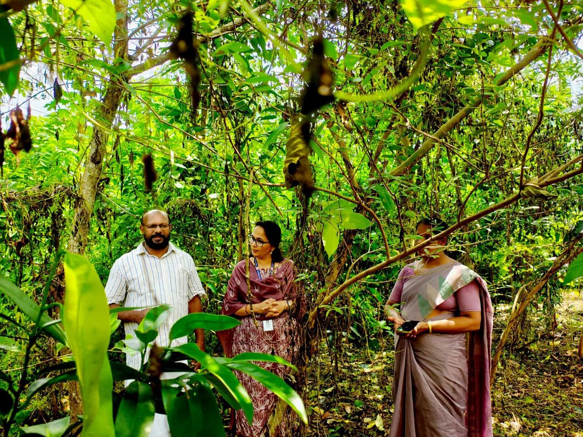 ഉദയനാപുരം പഞ്ചായത്തിലെ എല്ലാ സ്കൂളുകളിലും വിദ്യാവനം നിർമ്മിക്കും