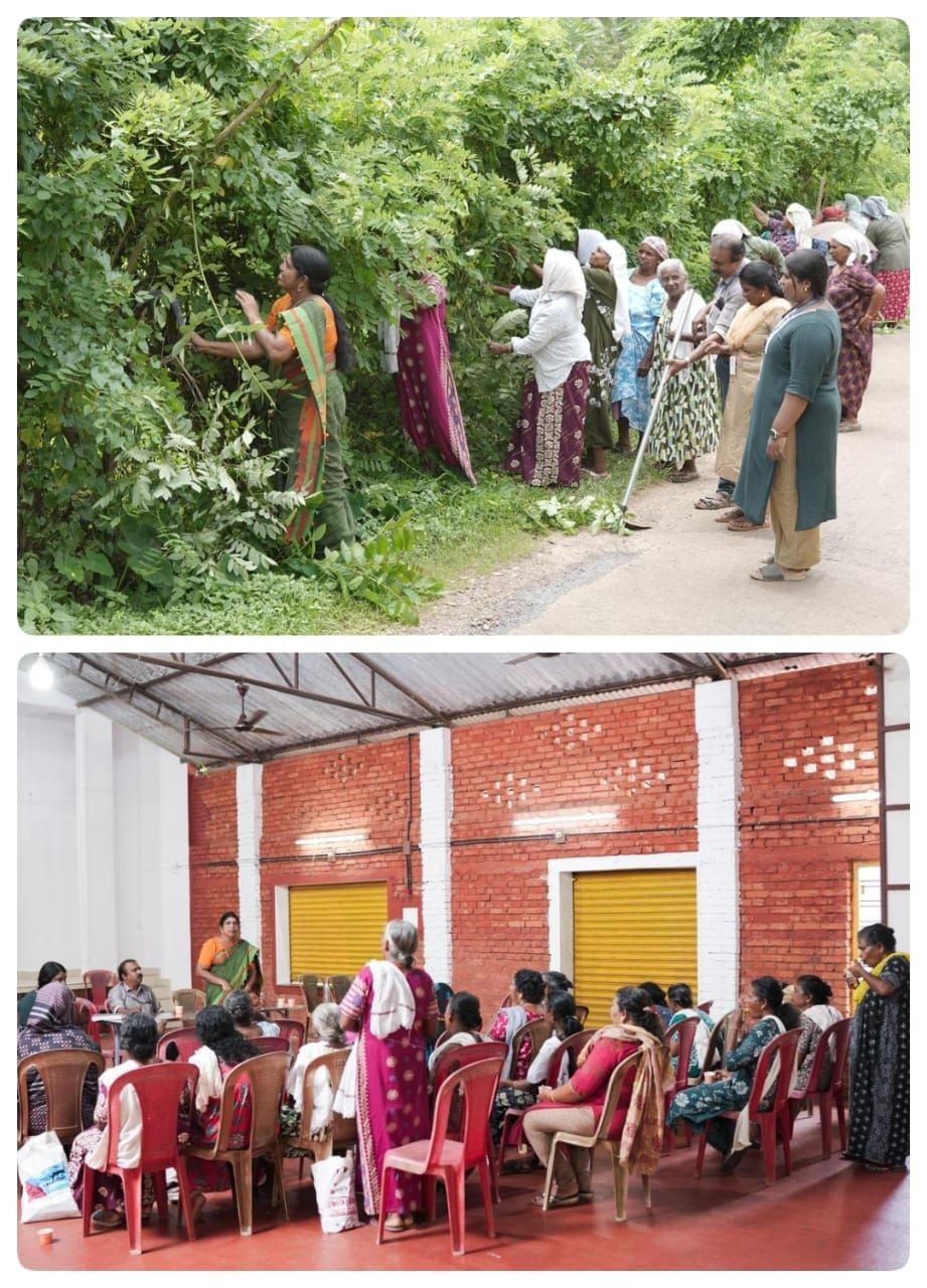 മഴക്കാലപൂർവ്വ ശുചീകരണം