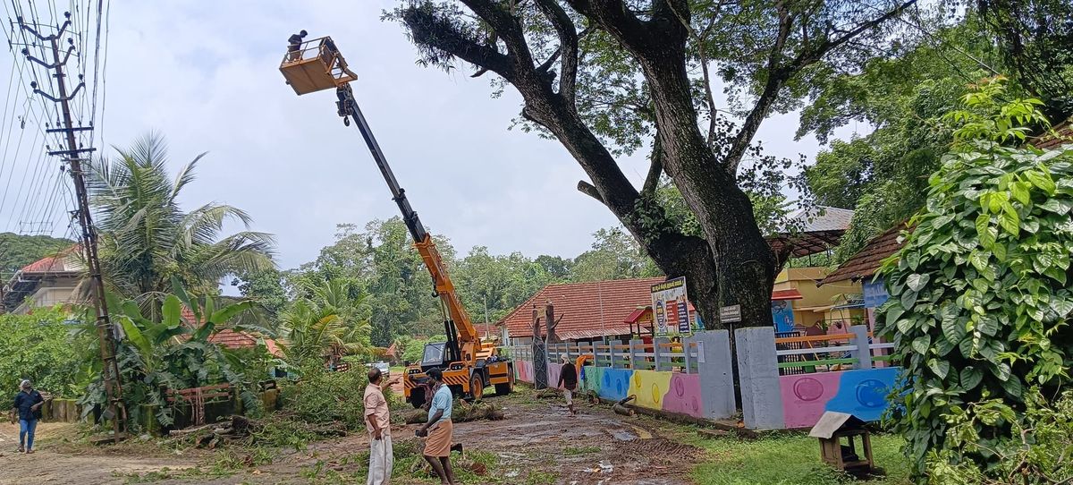 ​സ്കൂൾവളപ്പിൽ അപകടകരമായി നിന്ന വൃക്ഷത്തിൻ്റെ ശിഖരങ്ങൾ മുറിച്ചു മാറ്റി