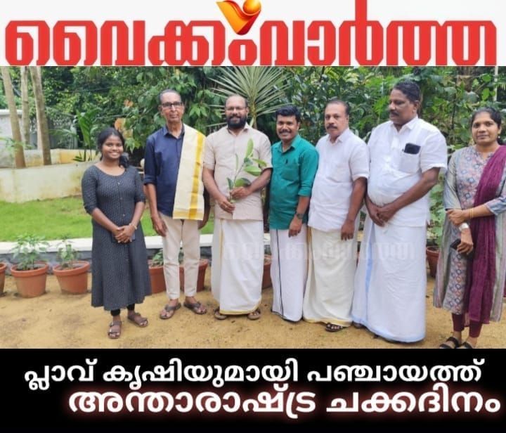 അന്താരാഷ്ട്ര ചക്ക ദിനം: പ്ലാവ് കൃഷി വ്യാപിപ്പിക്കാൻ ഒരുങ്ങി ഉദയനാപുരം പഞ്ചായത്ത്