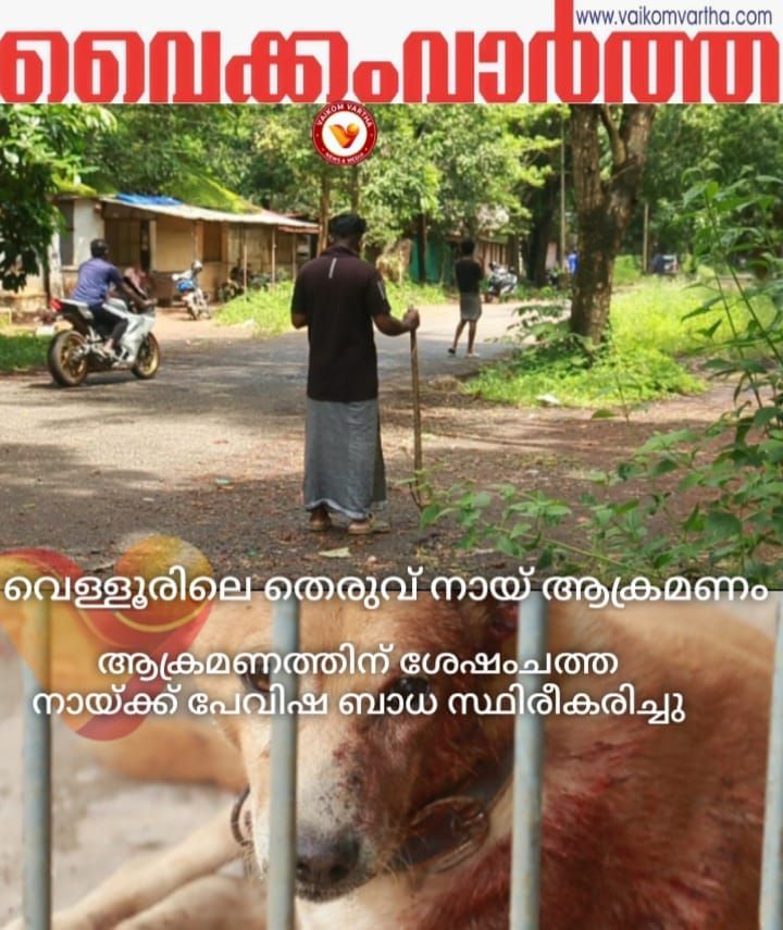 വെളളൂരിൽ ചത്ത നായ്ക്ക് പേ വിഷബാധ സ്ഥിരീകരിച്ചു