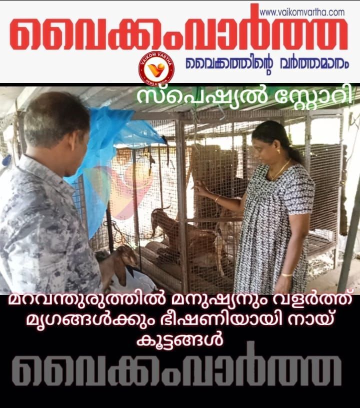 മനുഷ്യനും മൃഗങ്ങൾക്കും ഭീഷണിയായി തെരുവ് നായ്ക്കൾ