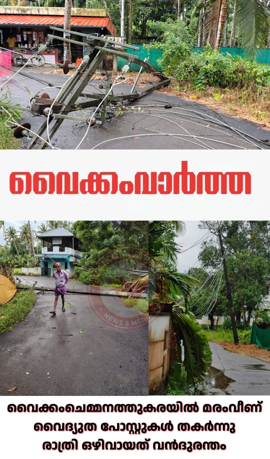 മരം വീണ് വൈദ്യുത പോസ്റ്റുകൾ തകർന്നു: ഒഴിവായത് വൻ അപകടം