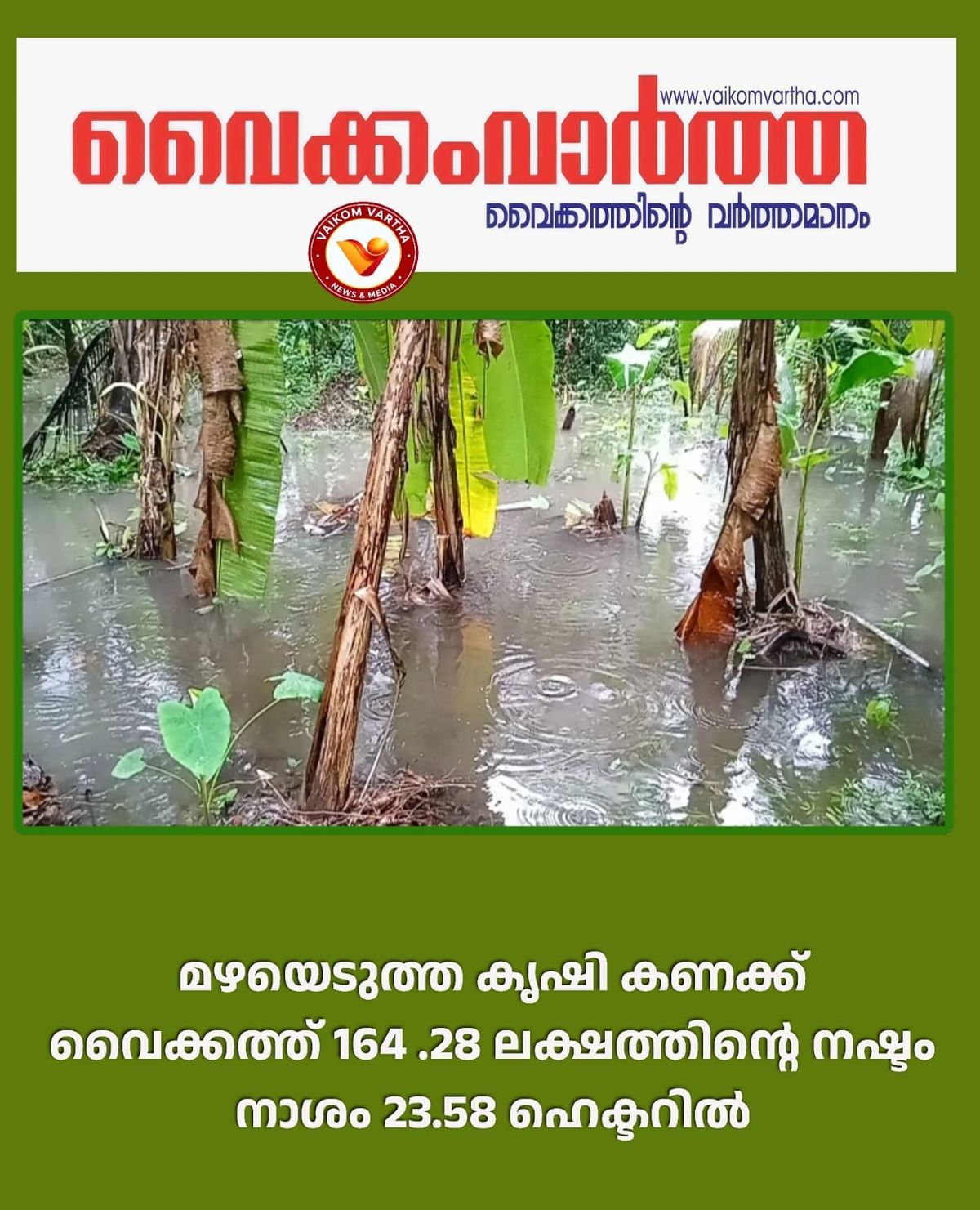 വൈക്കത്ത് 164.28 ലക്ഷത്തിൻ്റെ കൃഷിനാശം