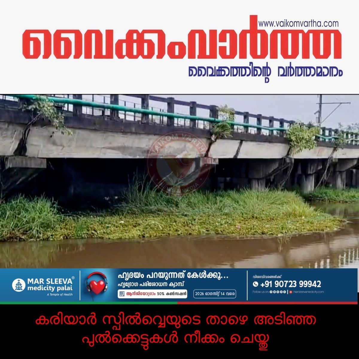 കരിയാർ സ്പിൽവേയിൽ അടിഞ്ഞ പുൽക്കെട്ടുകൾ നീക്കം ചെയ്തു