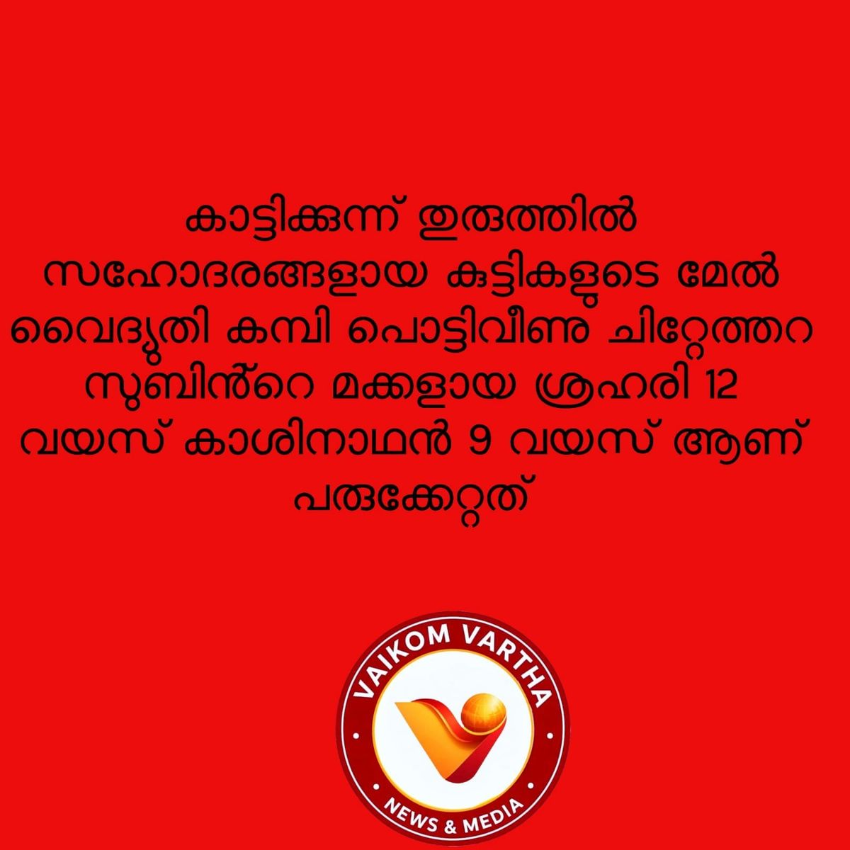 വൈദ്യുതി കമ്പി പൊട്ടി വീണ് സഹോദരങ്ങൾക്ക് ഷോക്കേറ്റു