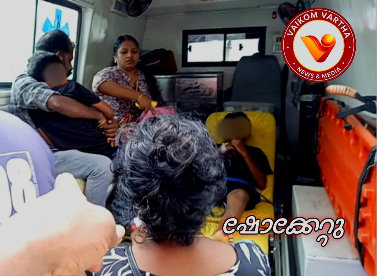 വൈക്കം കാട്ടിക്കുന്നിൽ വൈദ്യുതി കമ്പി പൊട്ടി വീണ് സഹോദരങ്ങൾക്ക് ഷോക്കേറ്റു