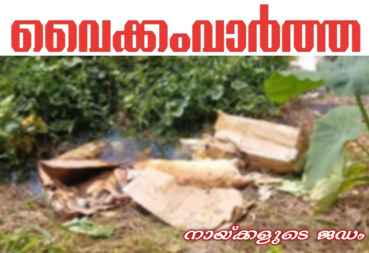 തലയോലപറമ്പിൽ പൊതുവഴിയോരത്ത് മാലിന്യ നിക്ഷേപം വ്യാപകം