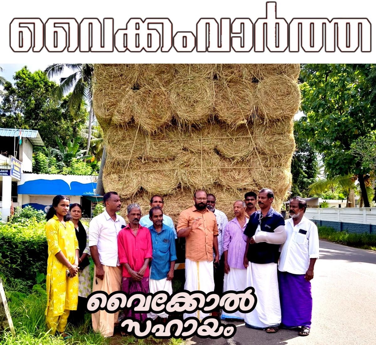 ക്ഷീര കർഷകർക്ക് ആശ്വാസമായി വൈക്കോൽ വിതരണം