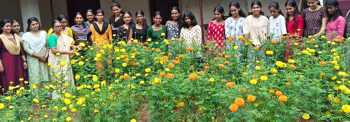 ആശ്രമം സ്ക്കൂളില്‍ ബന്ദിപ്പൂ കൃഷിക്ക് നൂറുമേനി വിളവ്