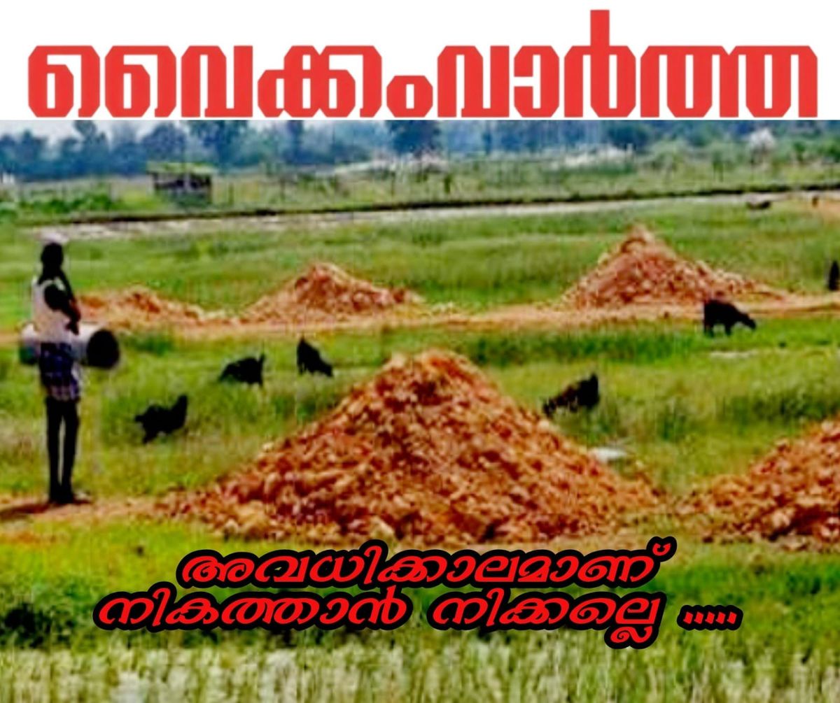 അനധികൃത മണ്ണെടുപ്പും നിലംനികത്തലും: വ്യാജന്മാരെ പിടികൂടാൻ താലൂക്കുകളിൽ പ്രത്യേക പരിശോധന