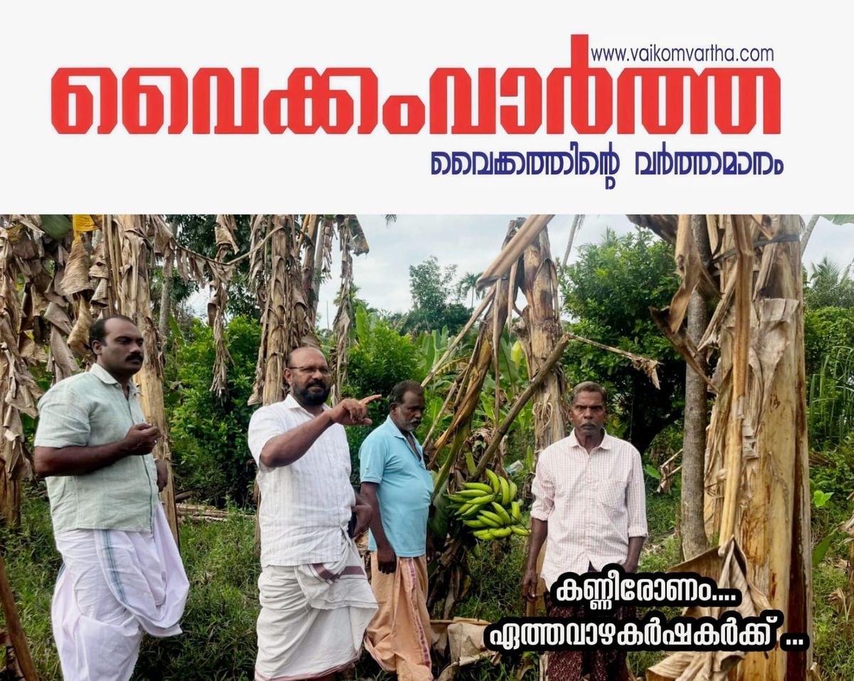 ഉദയനാപുരത്ത് വെള്ളപ്പൊക്കത്തിൽ ഏത്തവാഴ കൃഷി നശിച്ചു: ഓണവിപണി ലക്ഷ്യമിട്ട കർഷകർ കടുത്ത സാമ്പത്തിക പ്രതിസന്ധിയിൽ