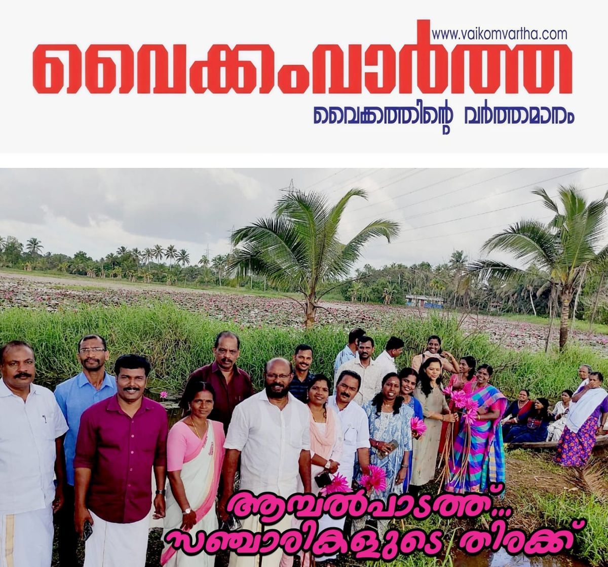 മാനാപ്പള്ളിയിൽ ആമ്പൽ വസന്തം: കാഴ്ച കാണാൻ സഞ്ചാരികളുടെ തിരക്കേറുന്നു