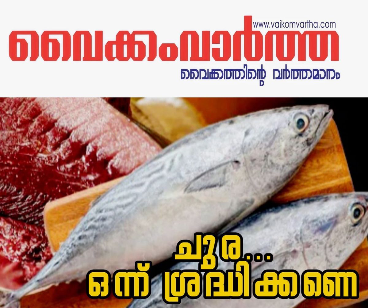 ചൂരയിൽ വിരകളെന്ന് പഠന റിപ്പോർട്ട്: ആശങ്ക വേണ്ടെന്ന് വിദഗ്ധർ