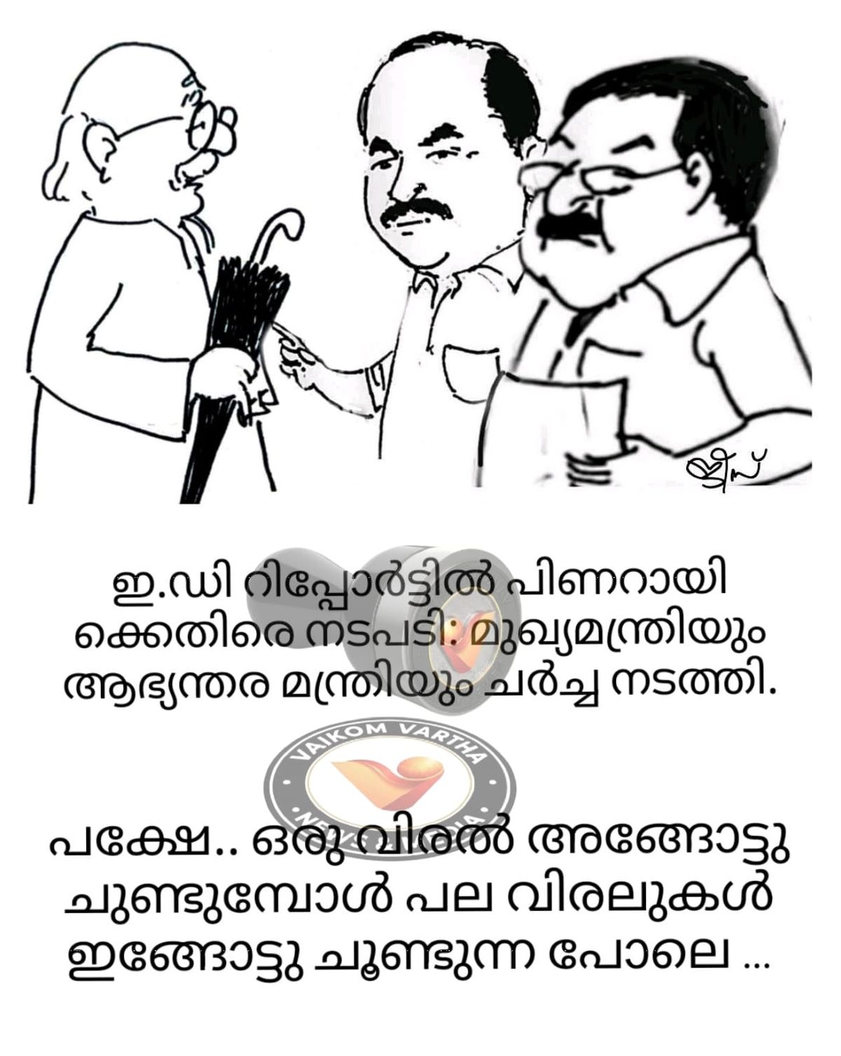 വൈക്കത്തുകാരൻ: കാർട്ടൂൺ പരമ്പര