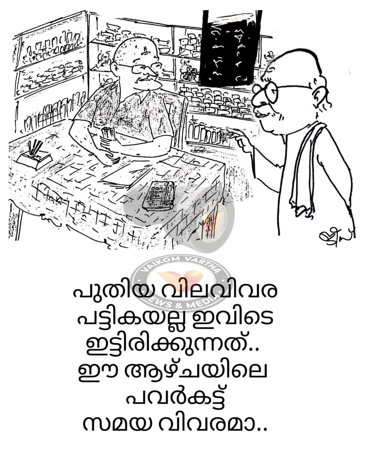 വൈക്കത്തുകാരൻ: കാർട്ടൂൺ പരമ്പര