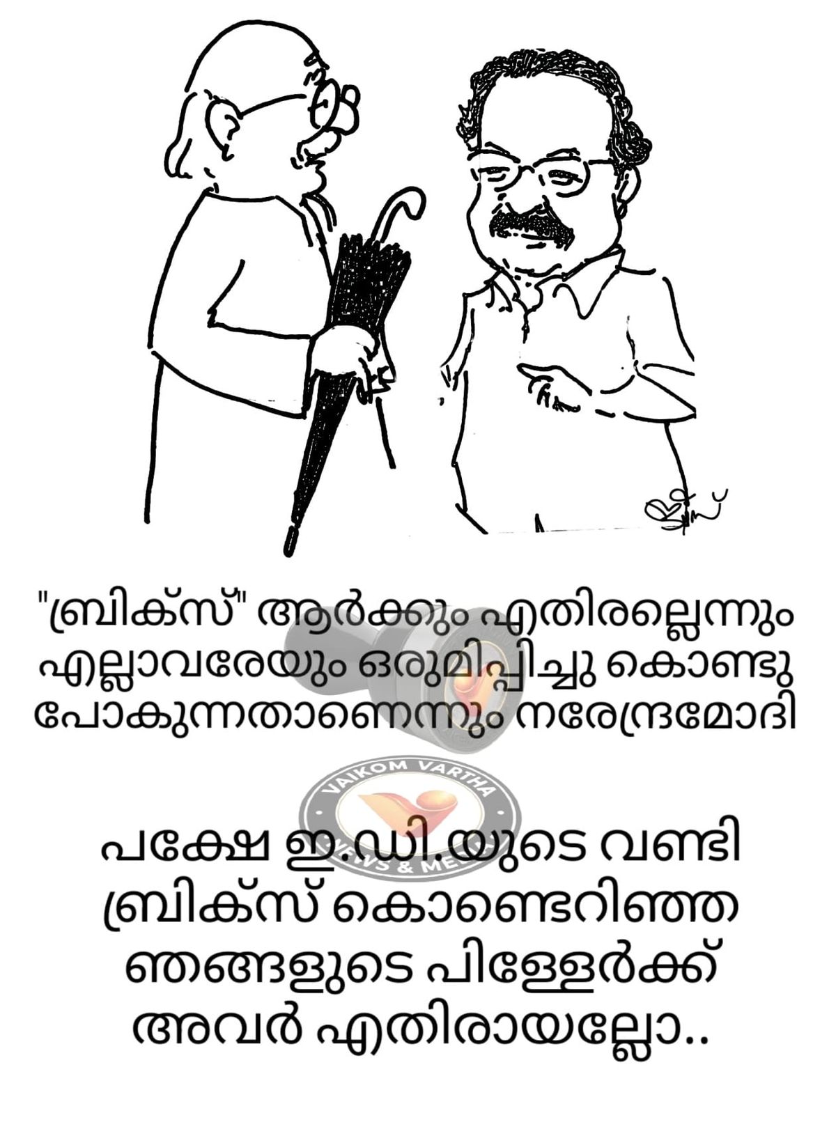 വൈക്കത്തുകാരൻ: കാർട്ടൂൺ പരമ്പര