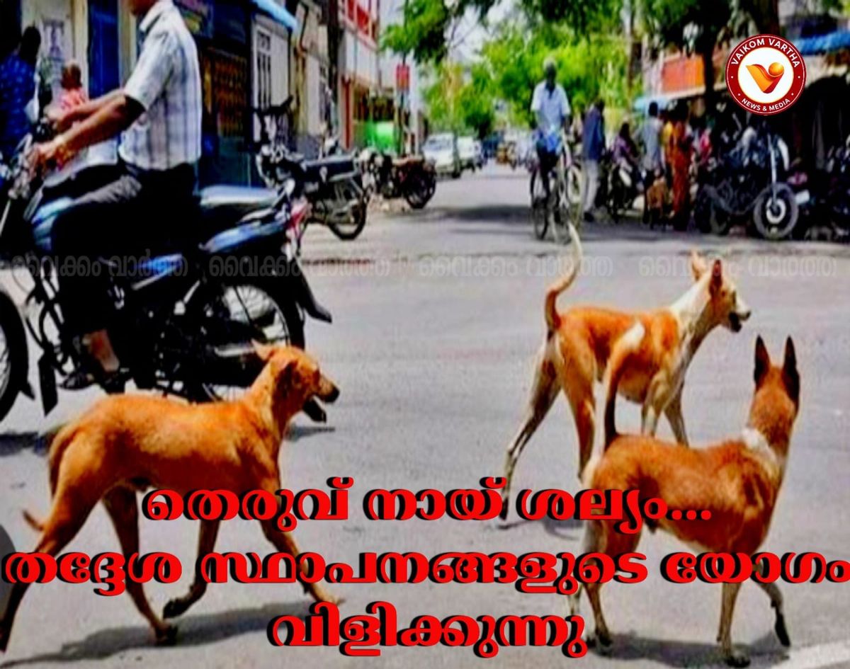 കോട്ടയം ജില്ലാ വികസന സമിതി യോഗം ചേർന്നു