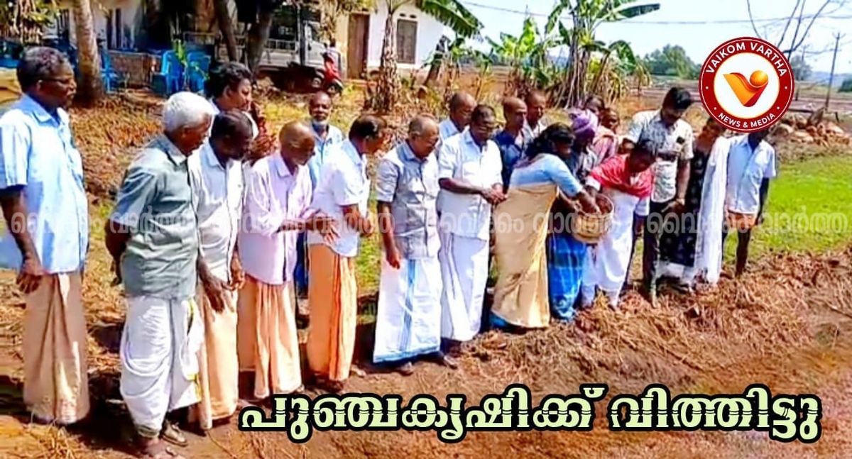 തലയോലപറമ്പ് പഞ്ചായത്തിൽ പുഞ്ചകൃഷിക്ക് തുടക്കം; വടയാർ പൊന്നുരുക്കുംപാറ പാടശേഖരത്തിൽ വിത്തെറിഞ്ഞു