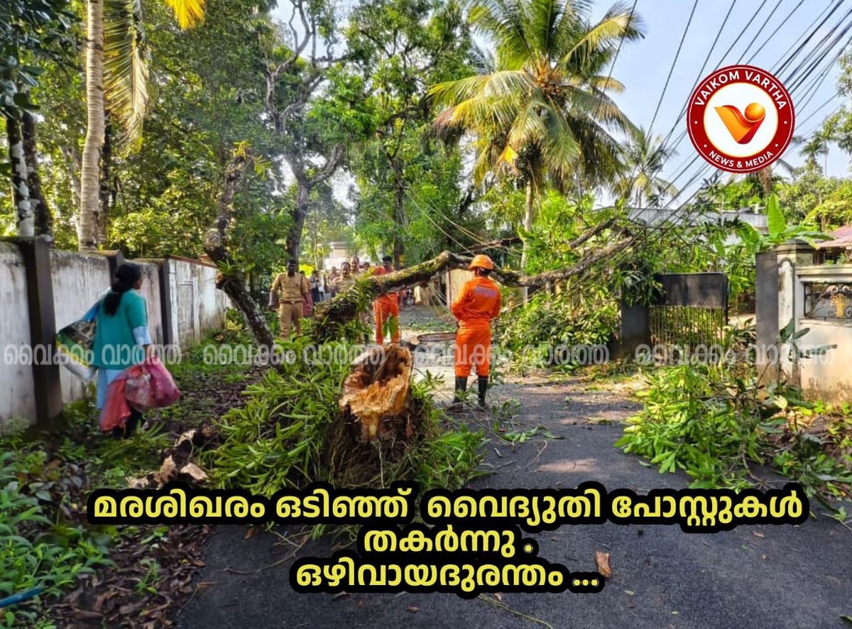 വൈക്കം ആറാട്ടുകുളങ്ങരയിൽ മരത്തിൻ്റെ ശിഖരം ഒടിഞ്ഞുവീണു; മൂന്ന് വൈദ്യുതി പോസ്റ്റുകൾ തകർന്നു