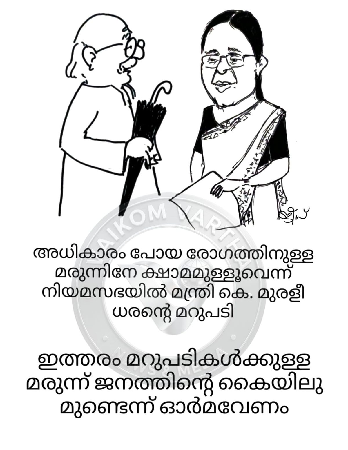 വൈക്കത്തുകാരൻ: കാർട്ടൂൺ പരമ്പര
